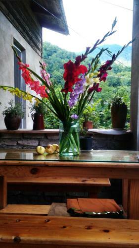 Hostal Guest House Nina