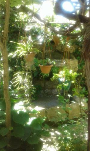 Apartamento Centr