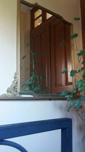 Hostal Mimino Mizandari