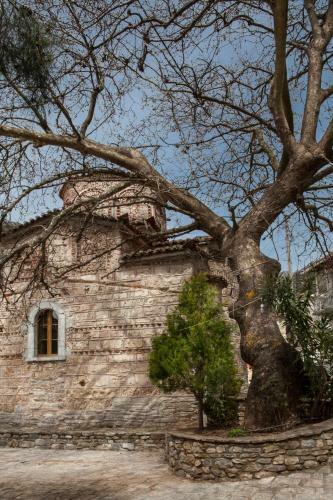 Apartamento Villa Kastania