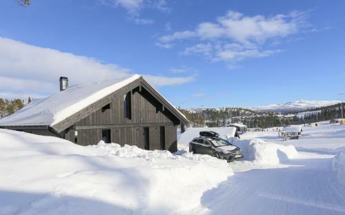 Apartamento Gaustatoppen Booking