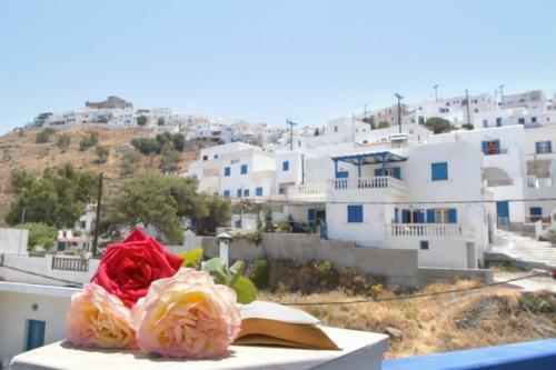 Paradissos Hotel