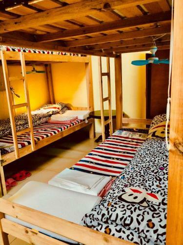Danxia International Youth Hostel