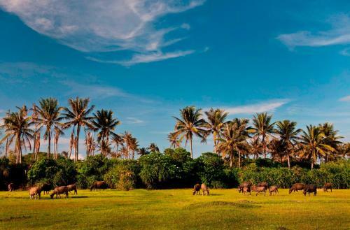 Hotel Four Points By Sheraton Shenzhou Peninsula Resort