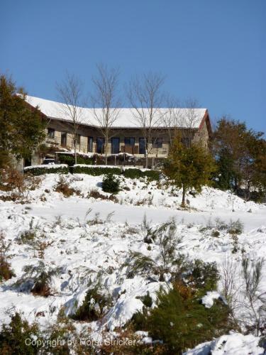 Bed & Breakfast Oficina Do Joe Guesthouse