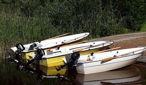 Lodge Kalastusm�kki Jokiniemi Saimaalla