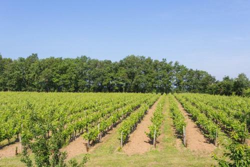 Agroturismo Blesignac Chateau Sleeps 12 Pool Wifi