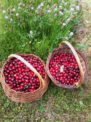 Bed & Breakfast Pukeko Nest Chambres D'h�tes