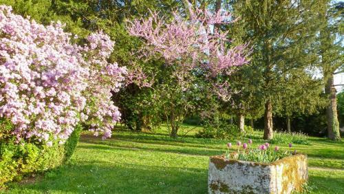 Agroturismo Sers Chateau Sleeps 19 Pool Wifi