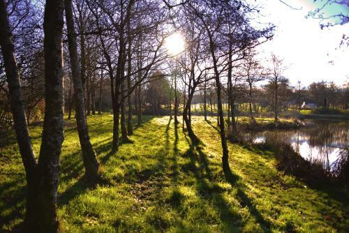 Thornbury Holiday Park