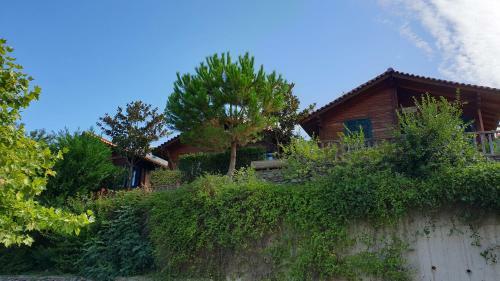 Alagonia Country Homes