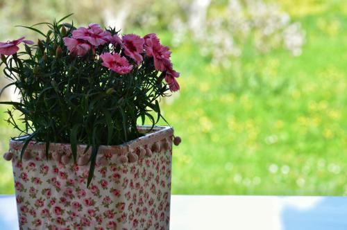 Apartamento Vilatoria Guesthouse