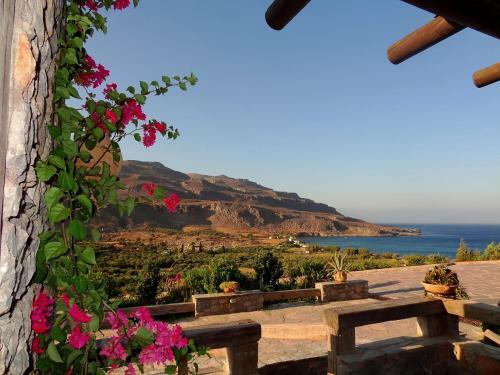 Apartamento Terra Minoika Villas
