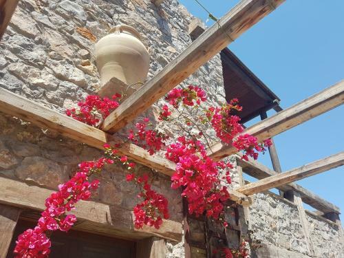 Apartamento Terra Minoika Villas