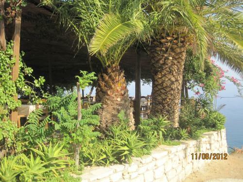 Sfinias Apartments