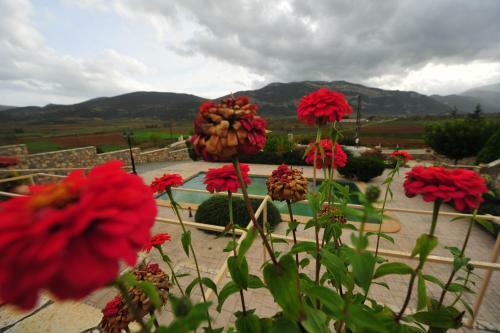 Hotel Pleiades