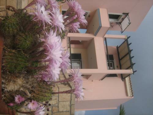 Apartamento Irides