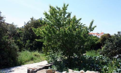 Apartments By The Sea Pomena, Mljet - 10426