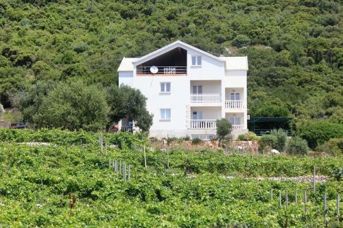 Apartments With A Parking Space Kuciste - Perna, Peljesac - 10161