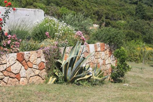 Apartments With A Parking Space Kuciste - Perna, Peljesac - 10161