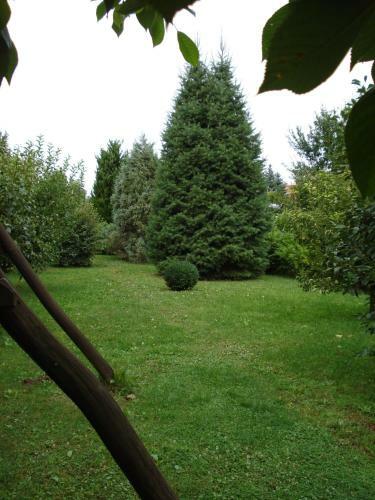 Hostal Ujv�ri Vend�gh�z