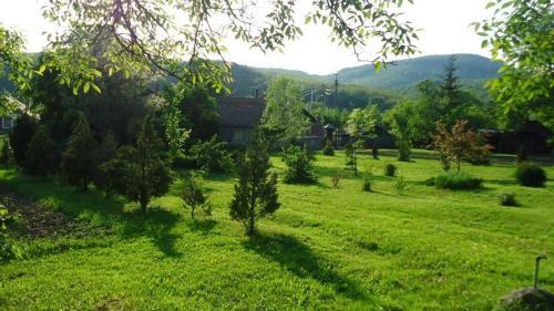 Hostal Bableves Vend�gh�z