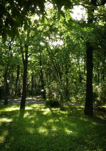 Hostal Zseri Vad�szh�z