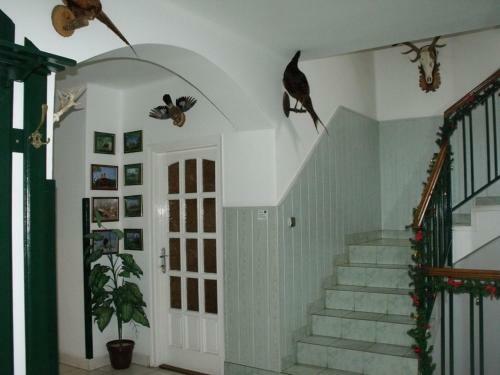 Hostal Horg�sz-vad�sz Vend�gh�z