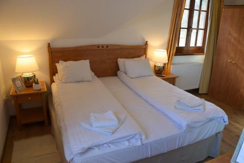 Hostal Buz�s Pince Vend�gh�z