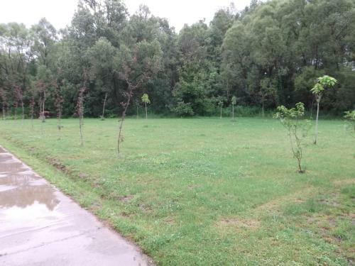 Hostal Szaka Vend�gh�z