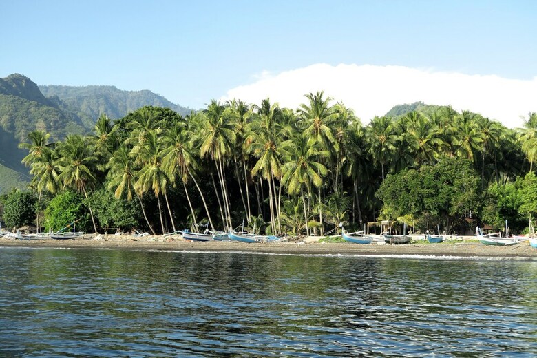 Hotel Desa Saya Eco Luxury Resort & Spa