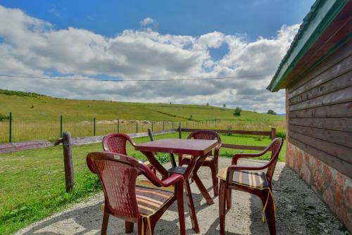Mountain Home Vasilica