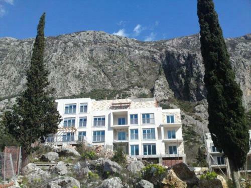 Apartments Irina