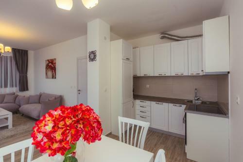 Apartments Monte Re