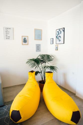 Apartamento Palms And Bananas