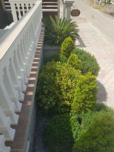 Apartments Sandra