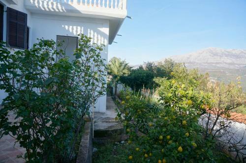 Villa In Montenegro