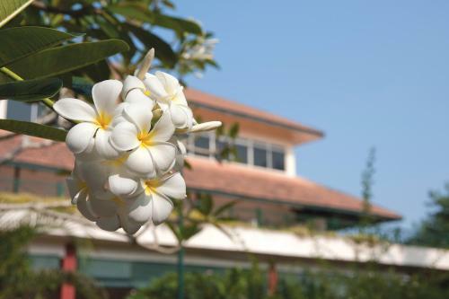 Hotel The Qamar Paka, Terengganu