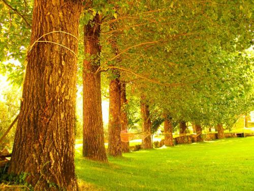 Agroturismo Casa Da Ponte