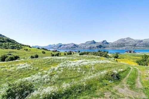 Vevika Lofoten