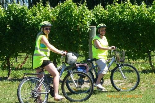 Olde Mill House B&B & Bike2wine Cycle Hire