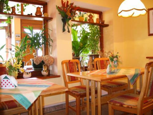 Hostal Pensjonat Lotos