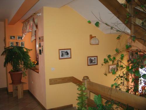 Hostal Pensjonat Lotos