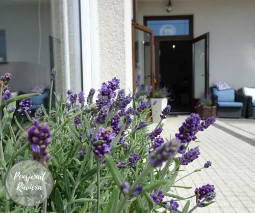 Hostal Pensjonat Riwiera
