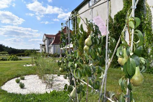 Hotel Eco Niebor�w