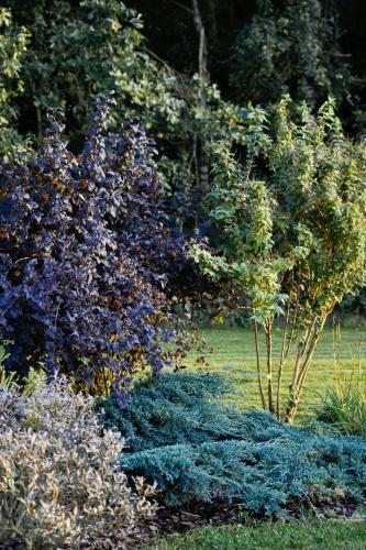 Hotel Eco Niebor�w