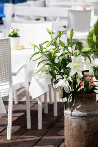Bed & Breakfast Zwierzy?scy Residence 2