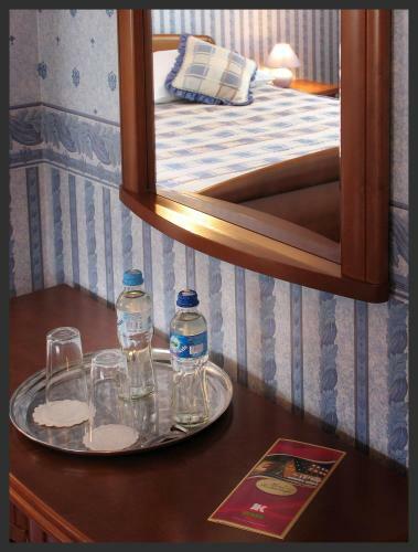 Hotel Janusz