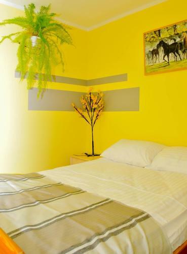 Apartament Pod ?anem