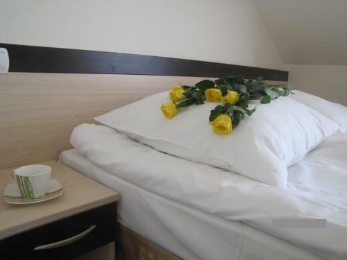 Hostal Villa Rekin